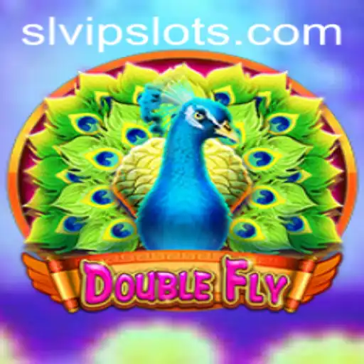 DoubleFly: Exploring the Thrills and Mysteries of SLVip